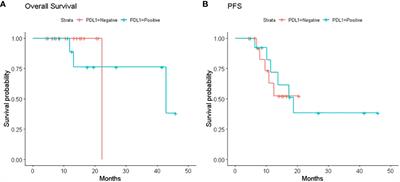 Redetermination of PD-L1 expression after chemio-radiation in locally advanced PDL1 negative NSCLC patients: retrospective multicentric analysis